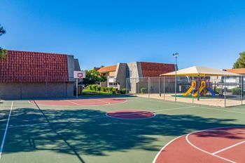 Basketball Court